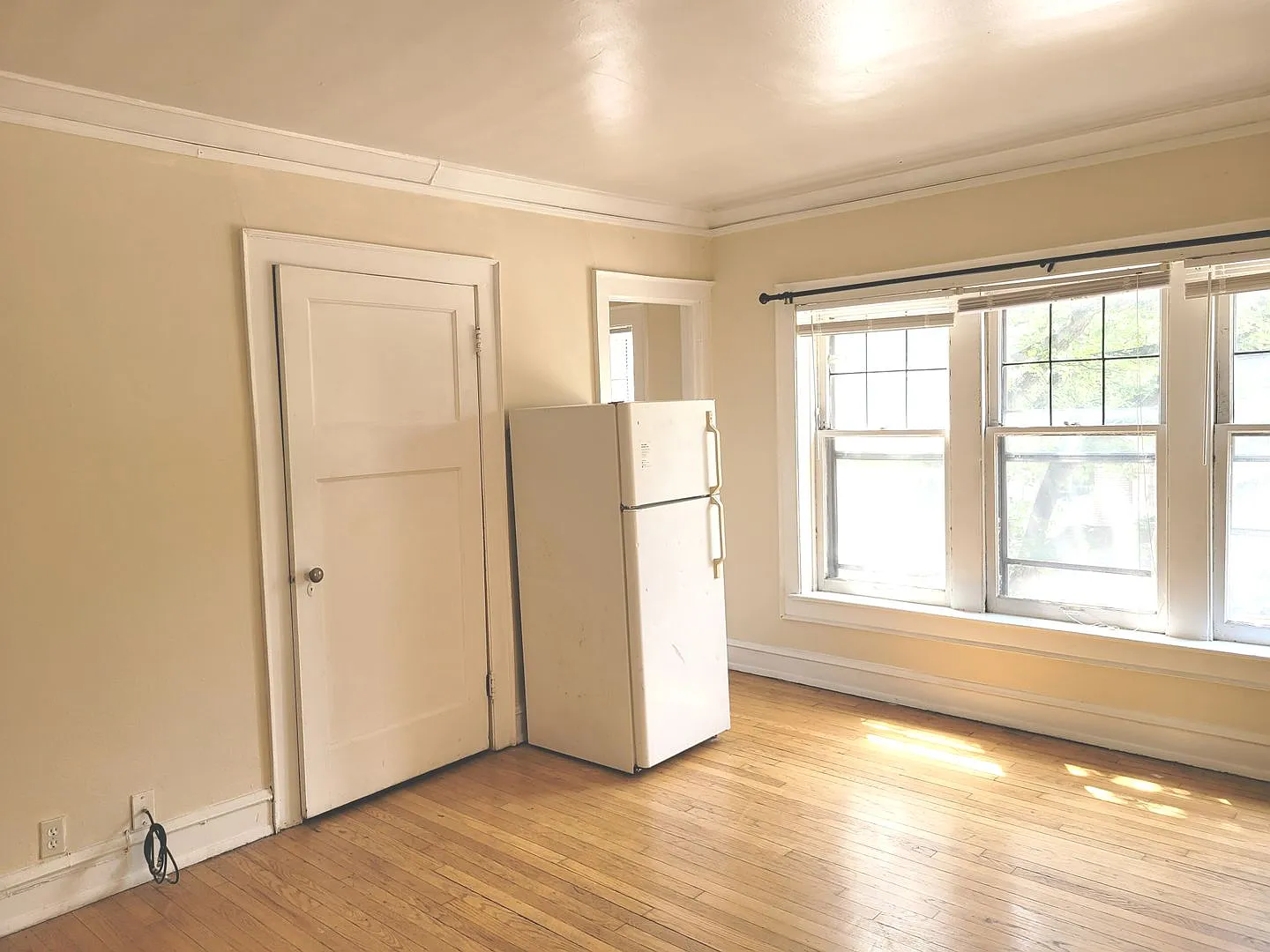 1303 Cass — Photo 3