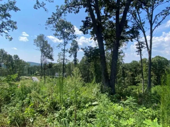 1084 Highgrove Dr, Talking Rock, GA 30175