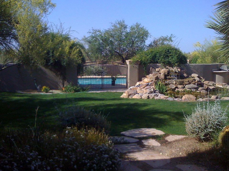 Backyard oasis