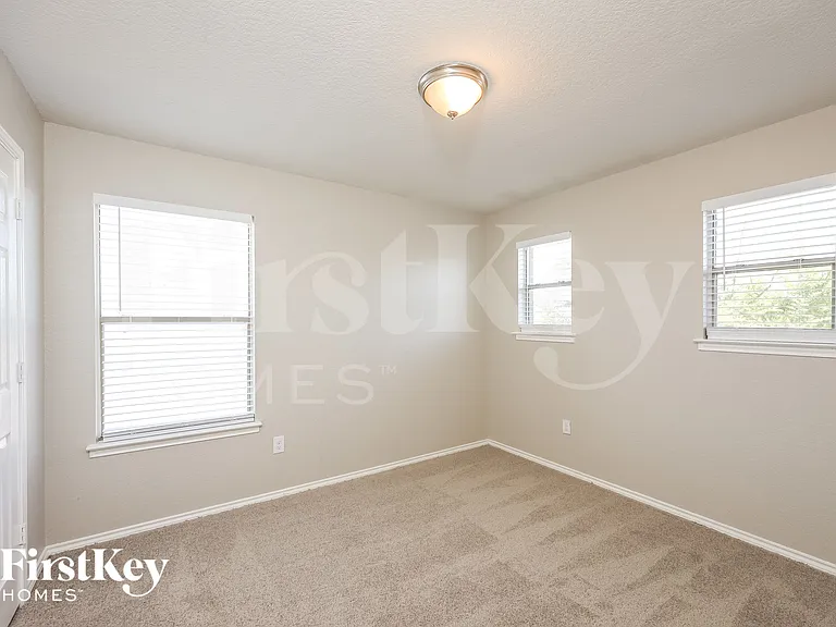 639 Sanderling — Photo 12