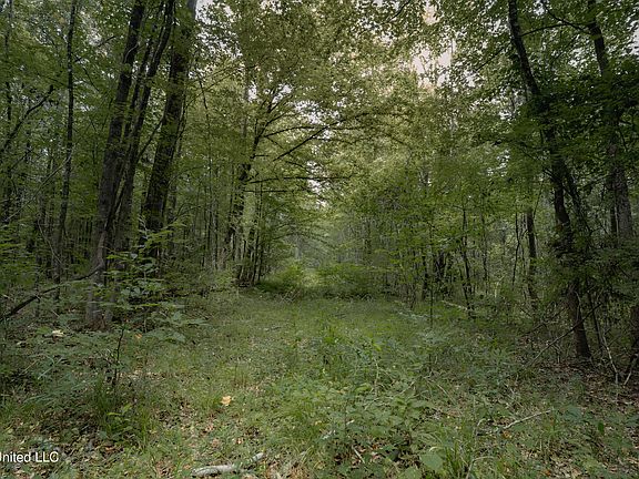 3rd image of 0 Dog Pen Rd