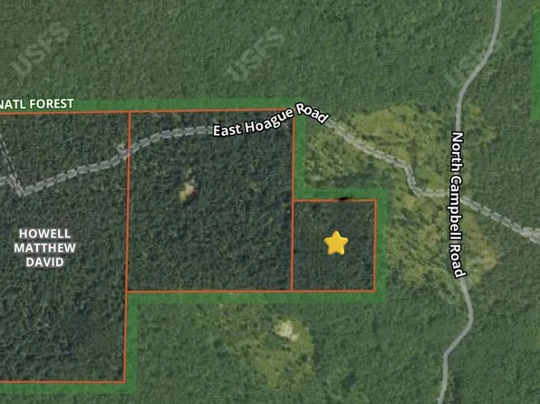 V/l E Hoague Rd, Free Soil, MI 49411