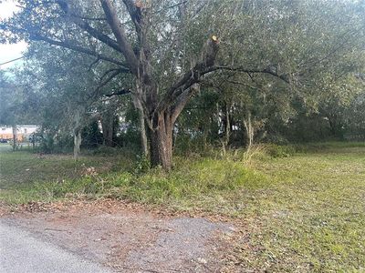 26346 Foamflower Blvd #24E, Wesley Chapel, FL, 33544