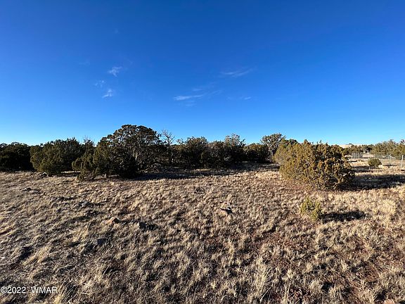 5th image of 8446 Quail Run Dr