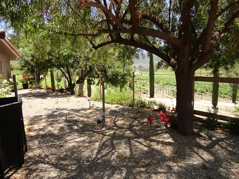 37850 De Portola Rd — Photo 56