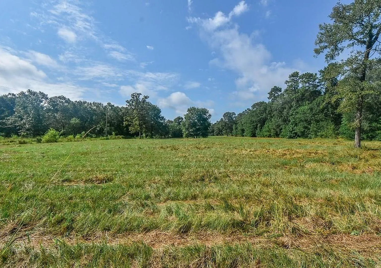 16428 Jireh Rd — Photo 3