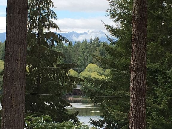 View from house
