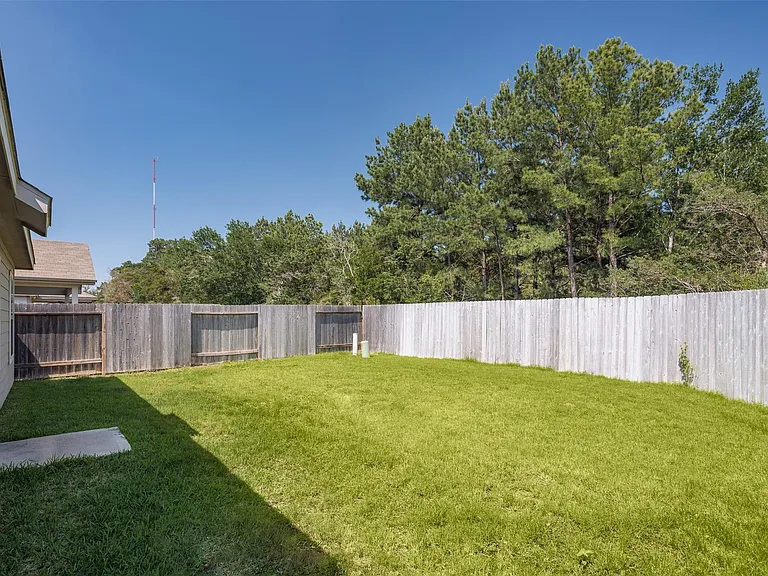 20906 Twining Rose Ln — Photo 18
