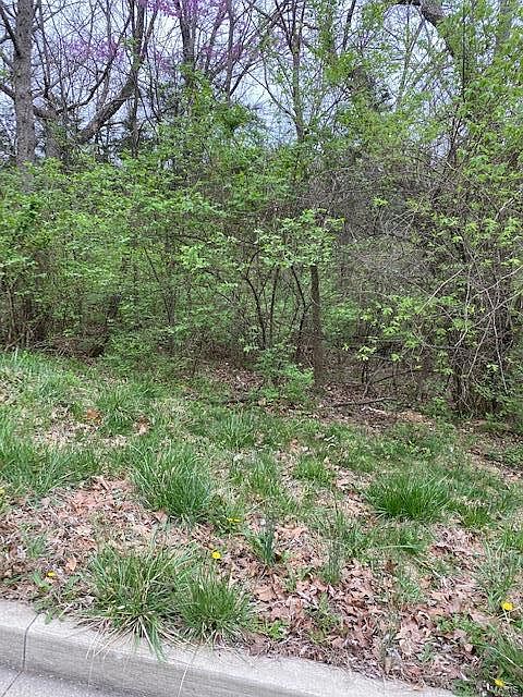 1st image of 576 Basswood Dr