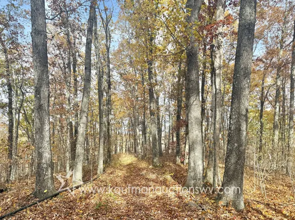 0 State Highway 47, Coxs Mills, WV 26342