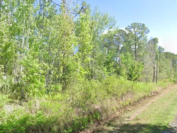 210 Redwood Blvd, Georgetown, FL 32139