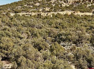 000 CR 2550 Road, Aztec, NM 87410