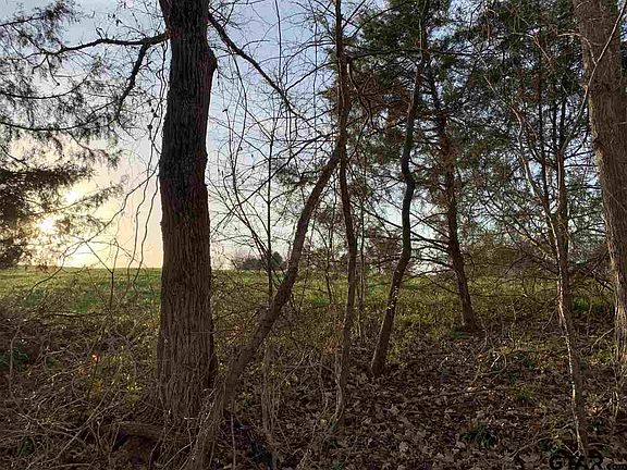 5th image of 11960 County Road 2222