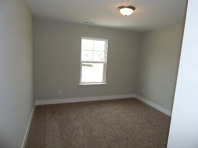 401 Bee Cove Way — Photo 16