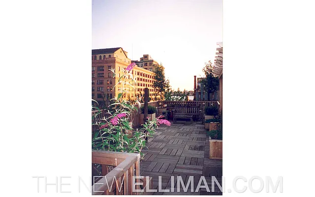 Rented by Douglas Elliman | media 53