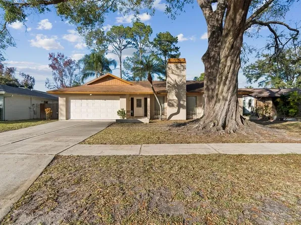 4109 Summerdale Dr, Tampa, FL 33624