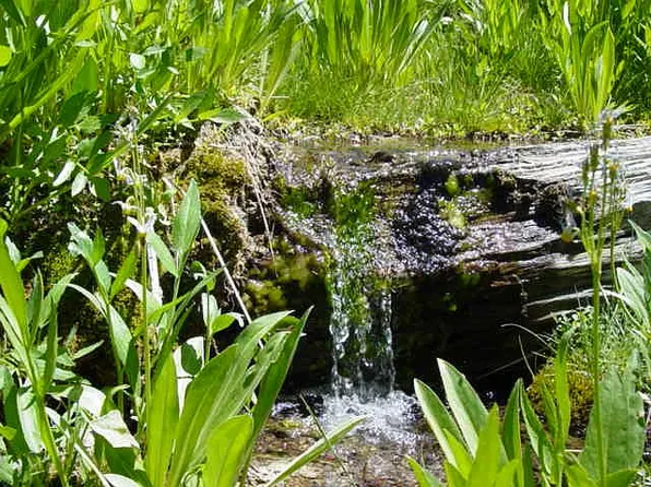 LOT 184-93 2, Mount Charleston, NV 89124