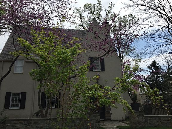 Front View in Spring