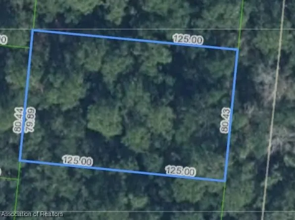 6583 Murica Dr, Sebring, FL 33872