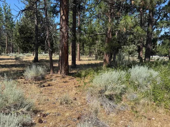 Lots 185/186 Hogan Dr, Weed, CA 96094