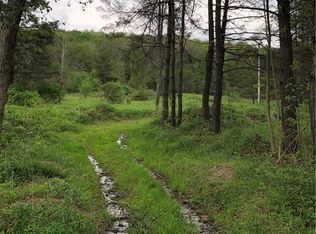 7254 Poverty Hill Rd, Ellicottville, NY 14731