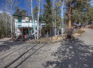 206 Buckaroo Rd, Bailey, CO 80421