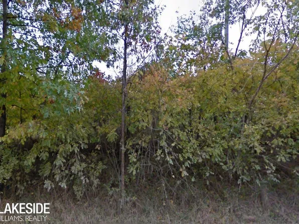 0 Townsend Rd, Addison Township, MI 48367