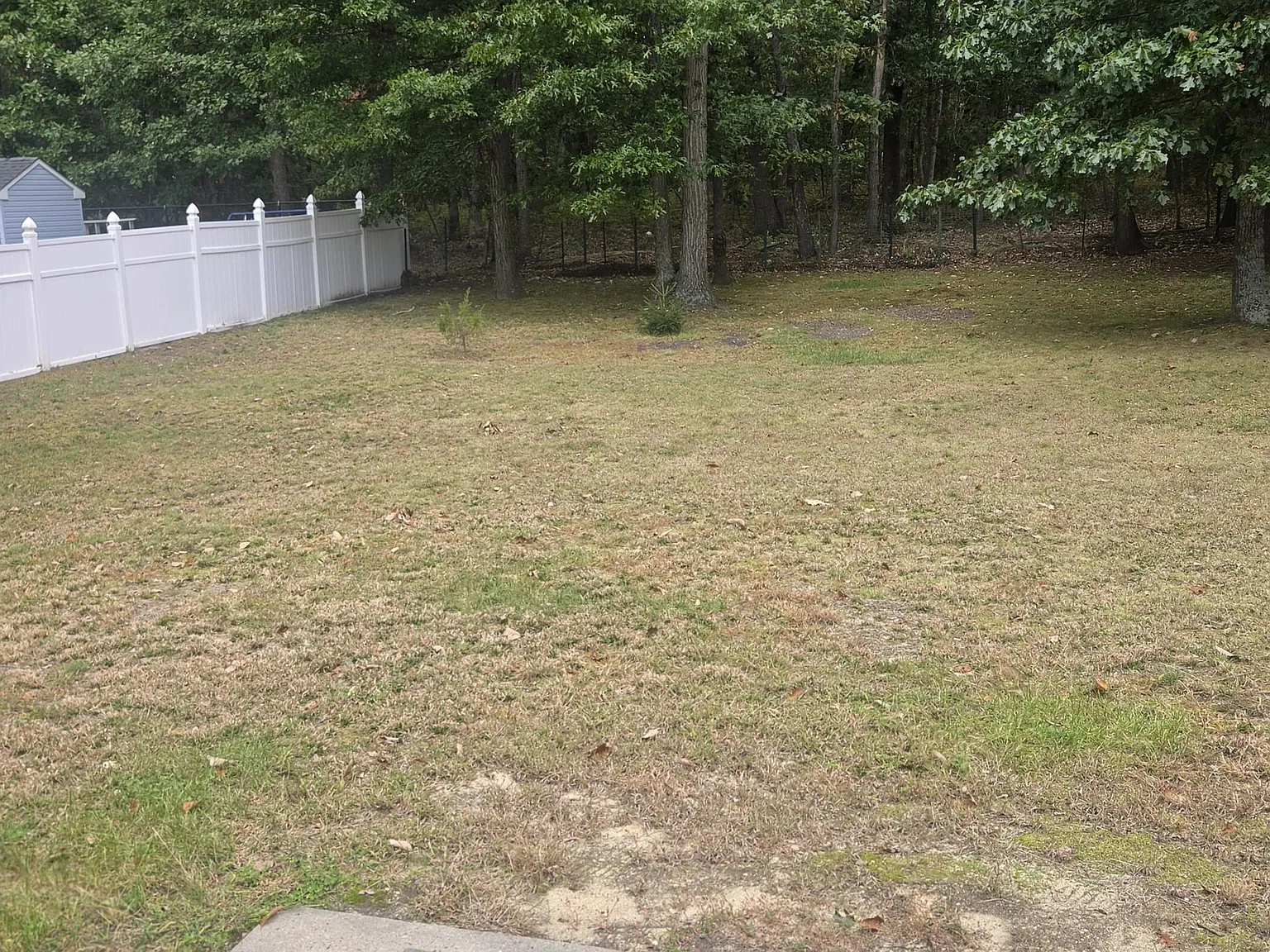 4 bed, 2000 sqft, $4,000 — Photo 2