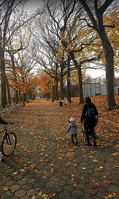 Rented by City Vista Inc | media 30