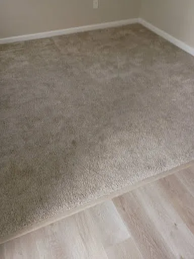 304 Gray Fox Ct — Photo 13