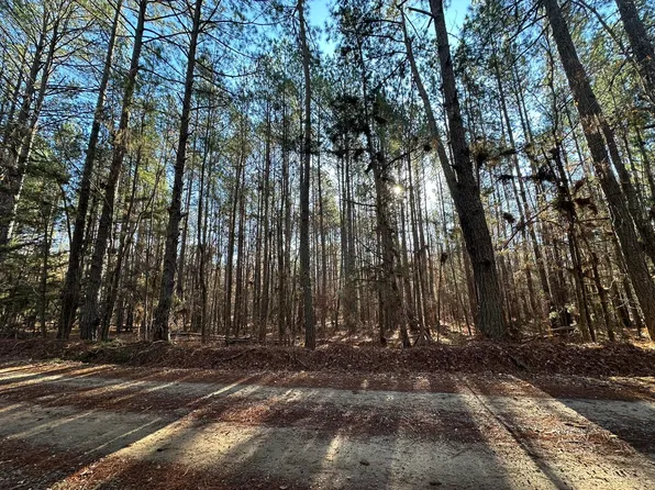 LOT 3 SAGGUS Road, Washington, GA 30673