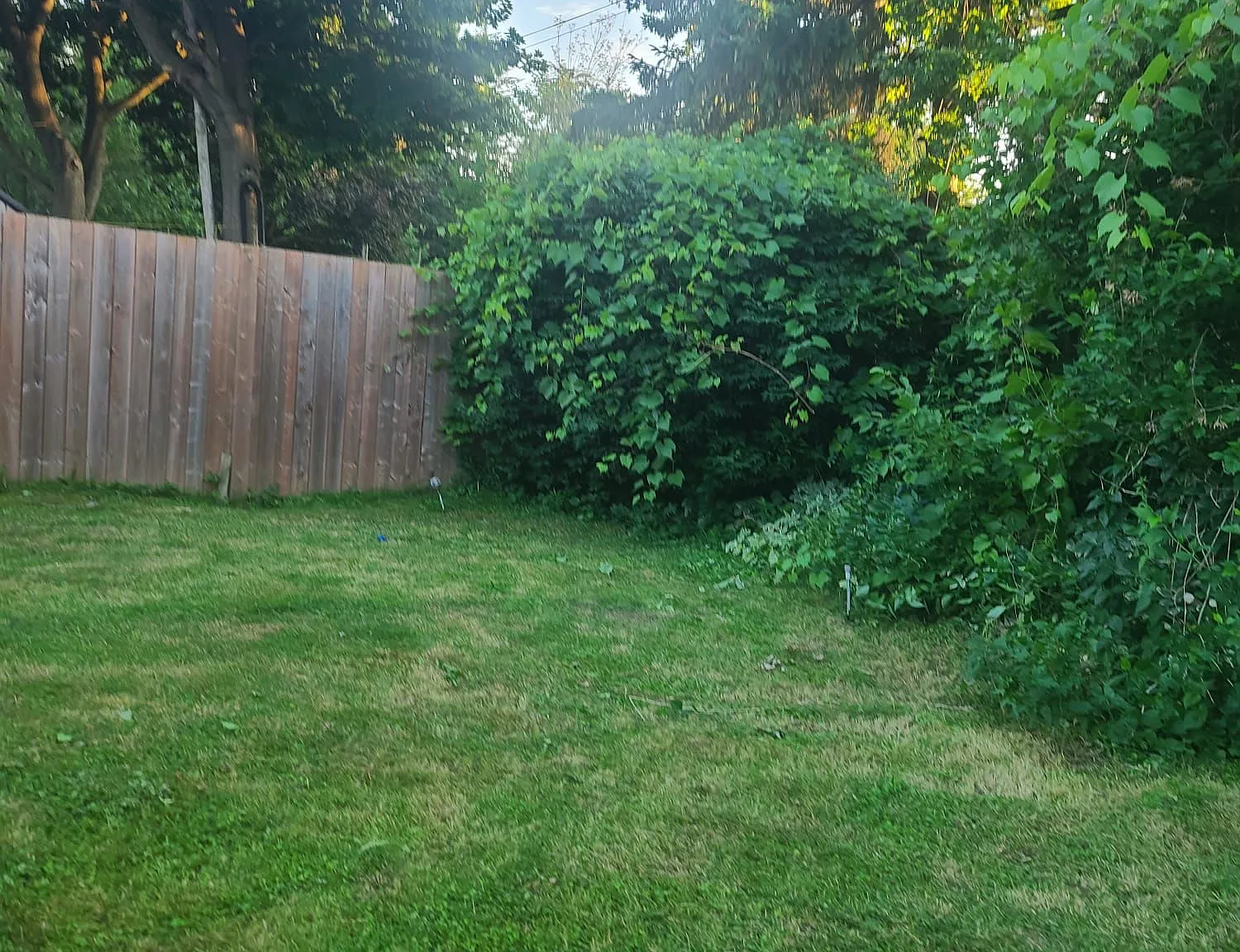 2 bed, $750 — Photo 2