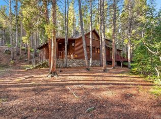 214 Falling Water Rd, Idaho Springs, CO 80452