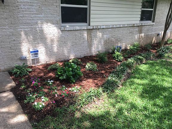 front view - new landscaping