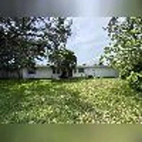 1137 6th Ave N Photo 1