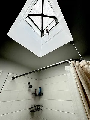 Rented by Pear NYC LLC | media 13