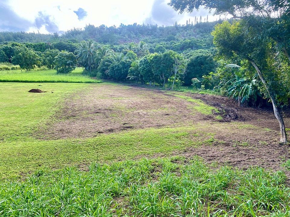 2nd image of Moloaa Rd