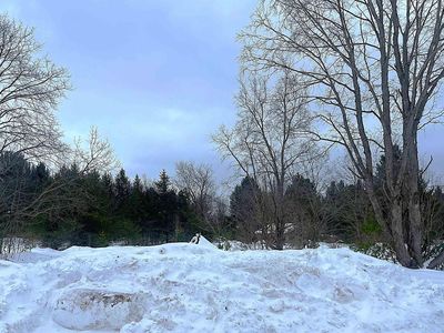 17461 Springdale Rd, Thompsonville, MI, 49683
