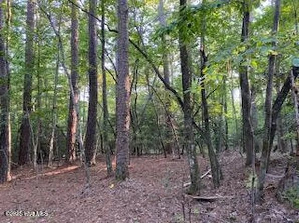 91a Palomino Road, Carthage, NC 28327