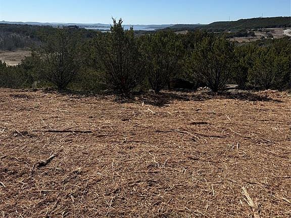 3rd image of LOT-654R Canyon Wren Loop