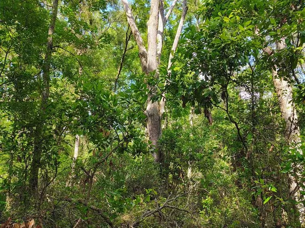  724th St, Old Town, FL 32680