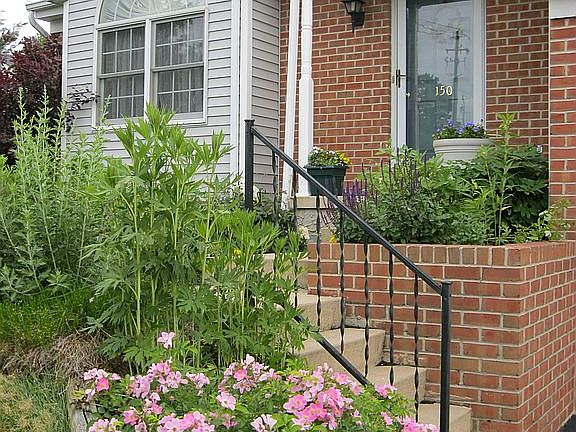 Front Entry