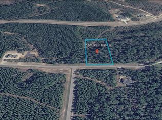 15720 Grey Hawk Ln, Willis, TX 77378