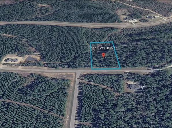 15720 Grey Hawk Ln, Willis, TX 77378