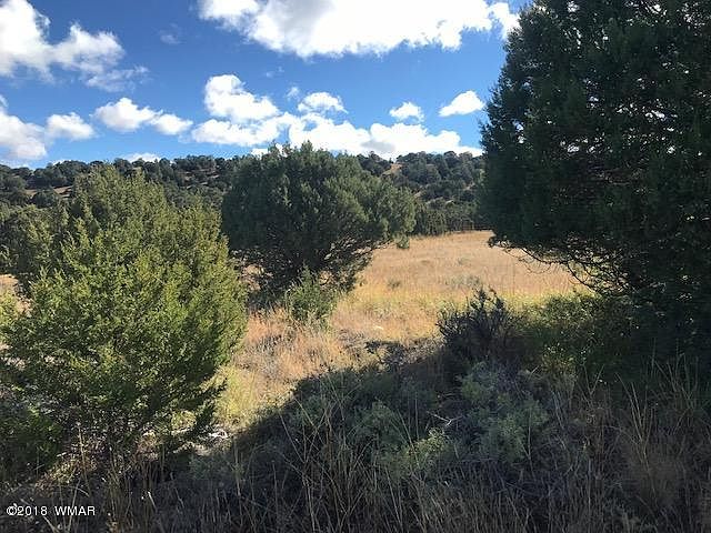2nd image of Safari Dr