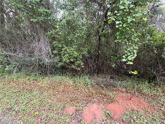 5th image of 0 Laco Cooper Rd