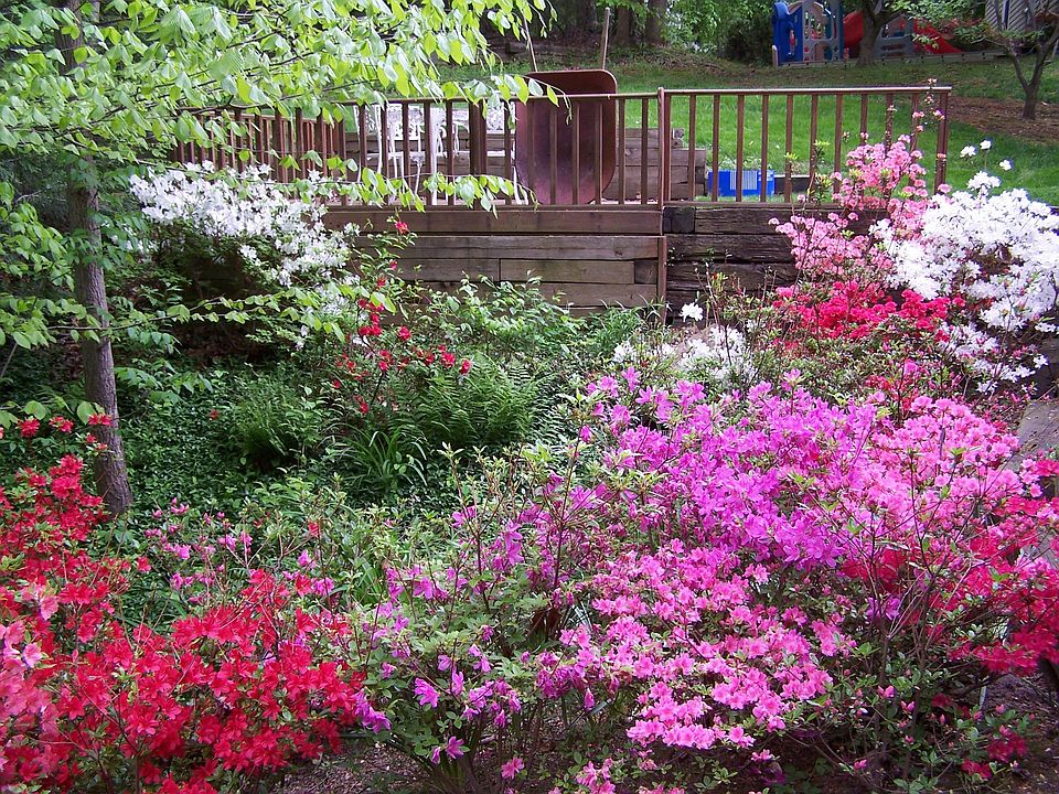 Back yard and detached 3rd deck..