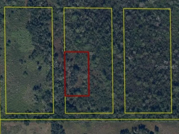 SW Pablo Ave Lot 15, Arcadia, FL 34266