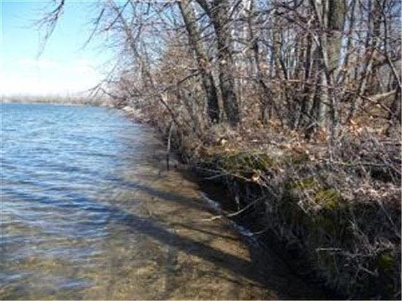2nd image of Walleye Drive