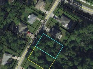 5 Sleepy Hollow Trl, Palm Coast, FL 32164